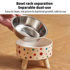 Colorful Polka Dot Pet Bowls