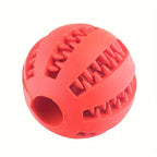 Dog Chew Ball